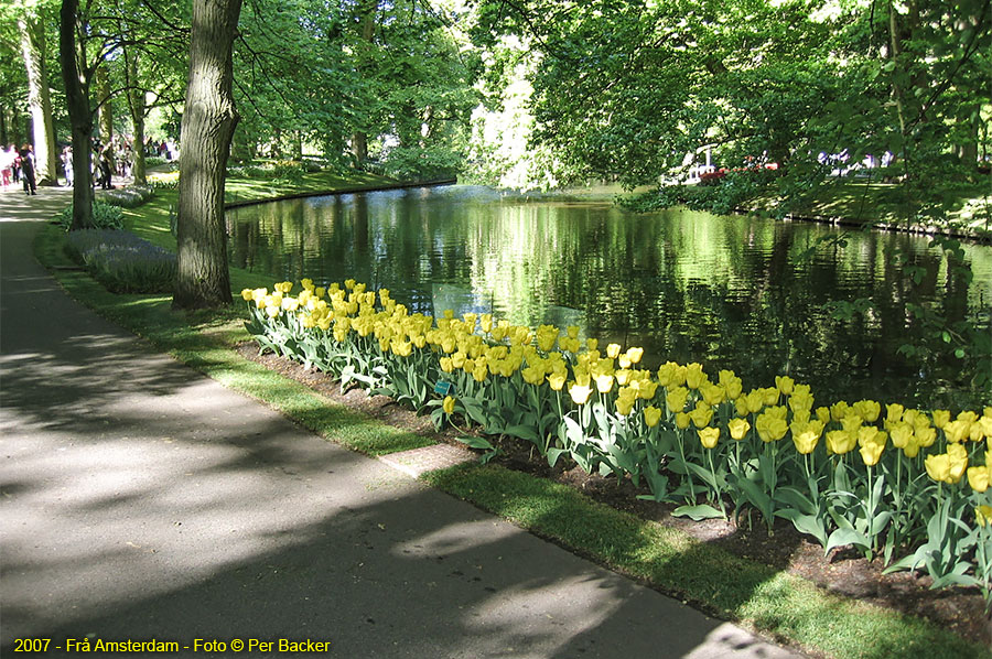 Amsterdam - frå Keukenhof