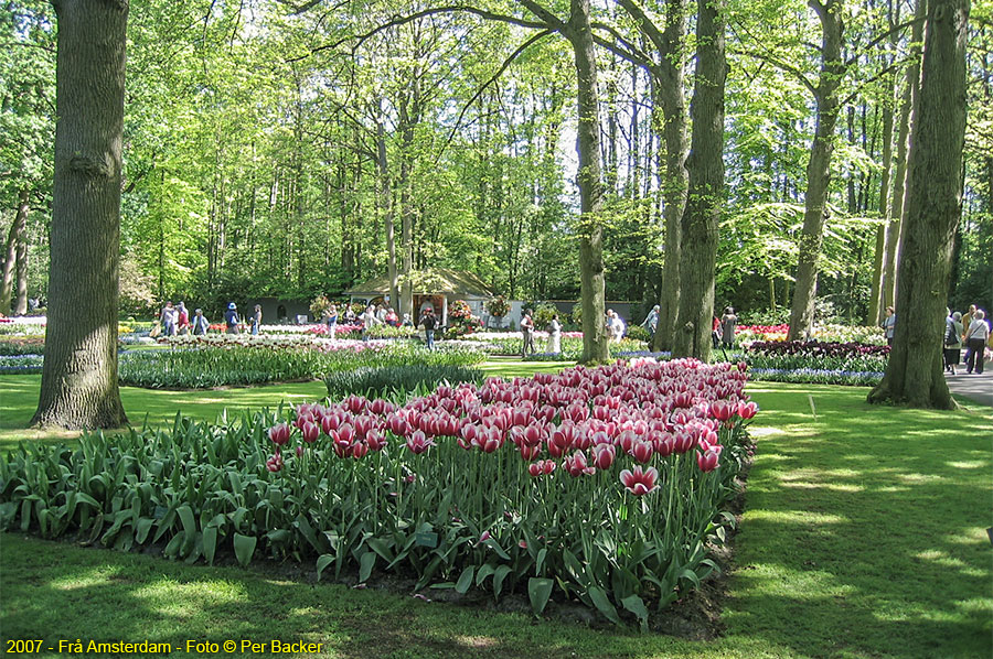 Amsterdam - frå Keukenhof