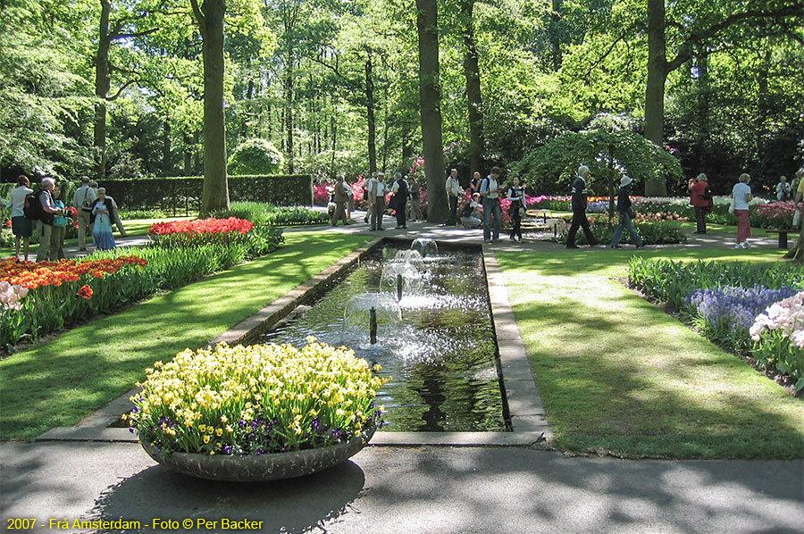 Amsterdam - frå Keukenhof