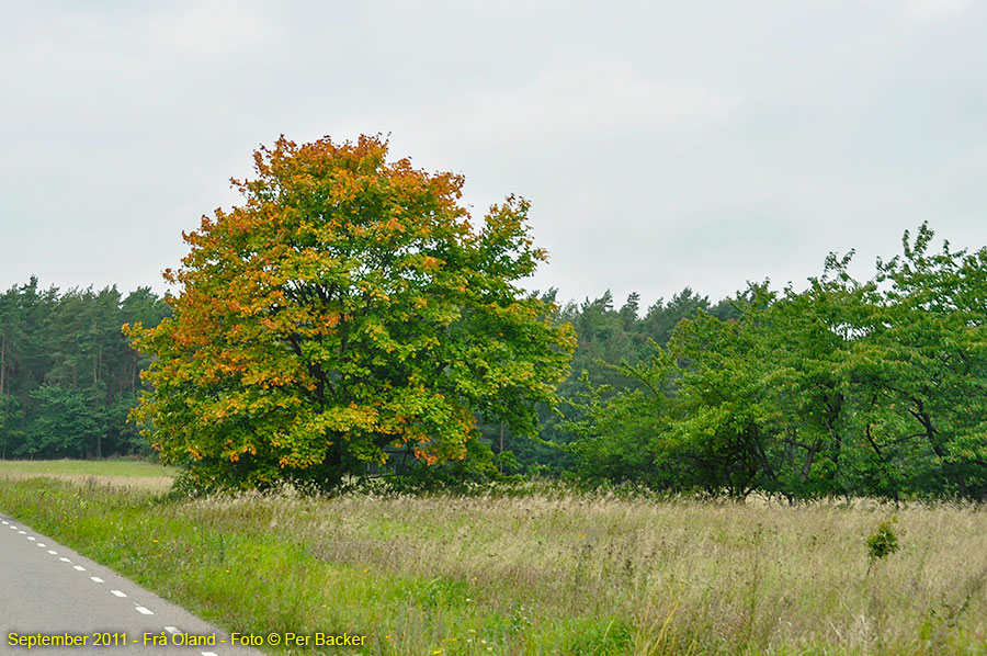 Frå Öland