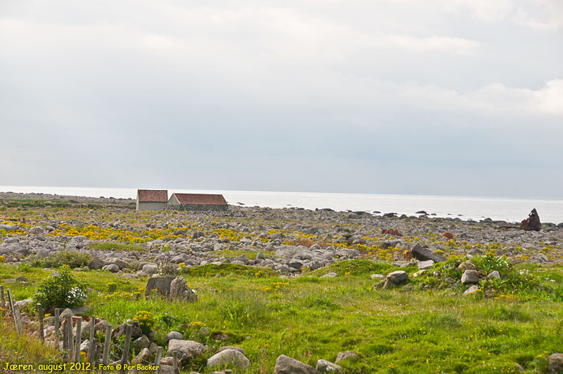 Frå Jæren