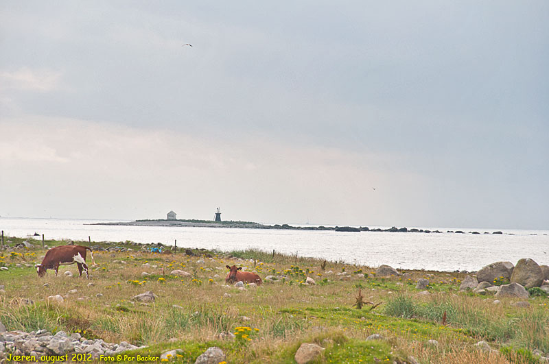 Frå Jæren