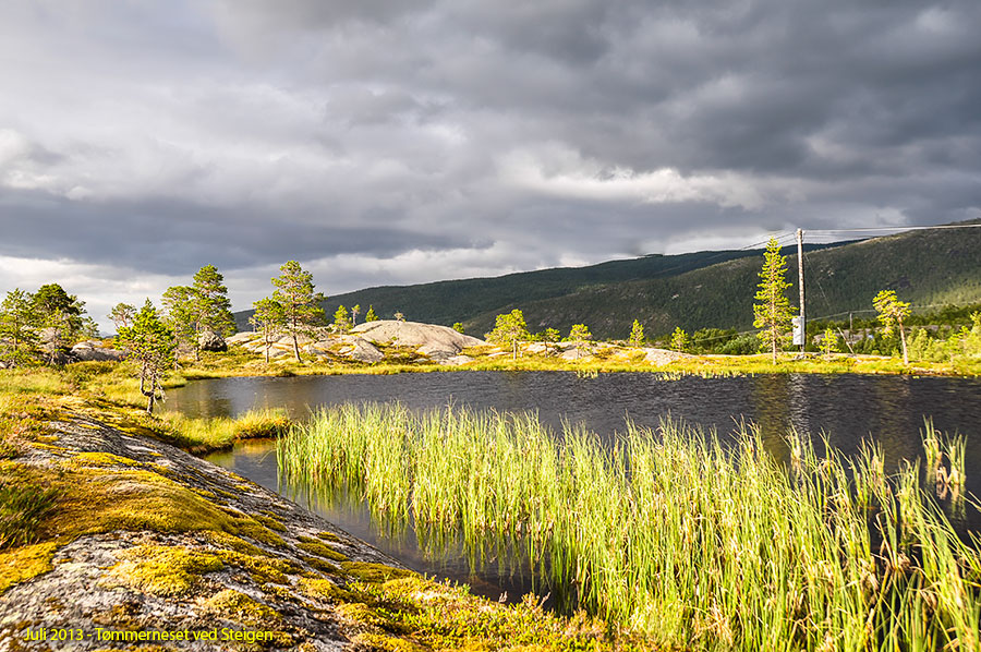 Frå Tømmerneset