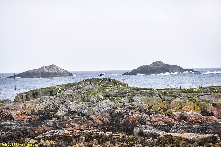 Frå Henningsvær