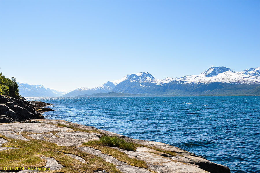 Frå Lyngen