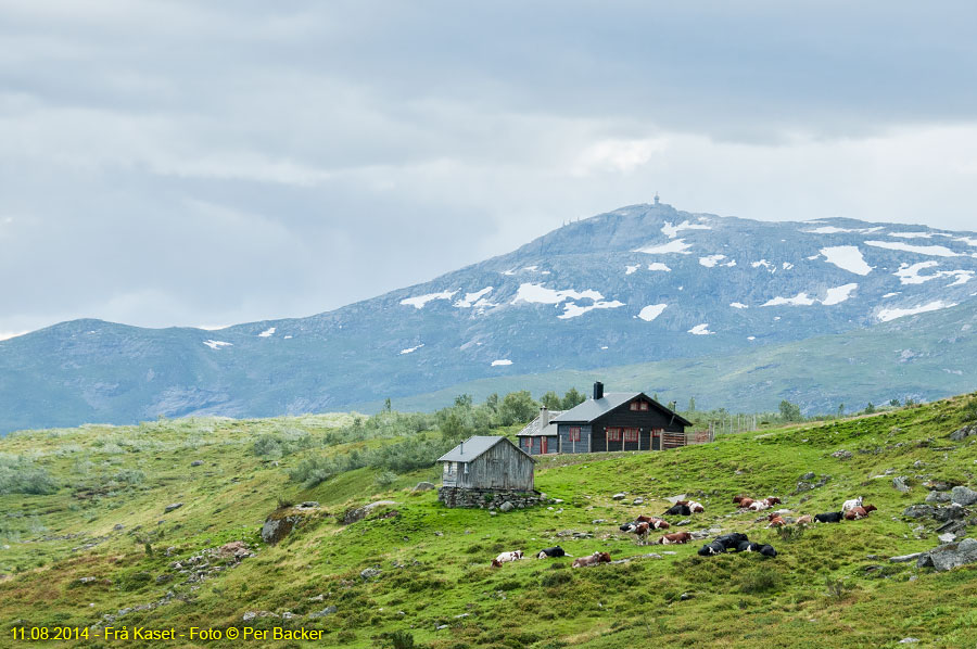 Frå Kaset