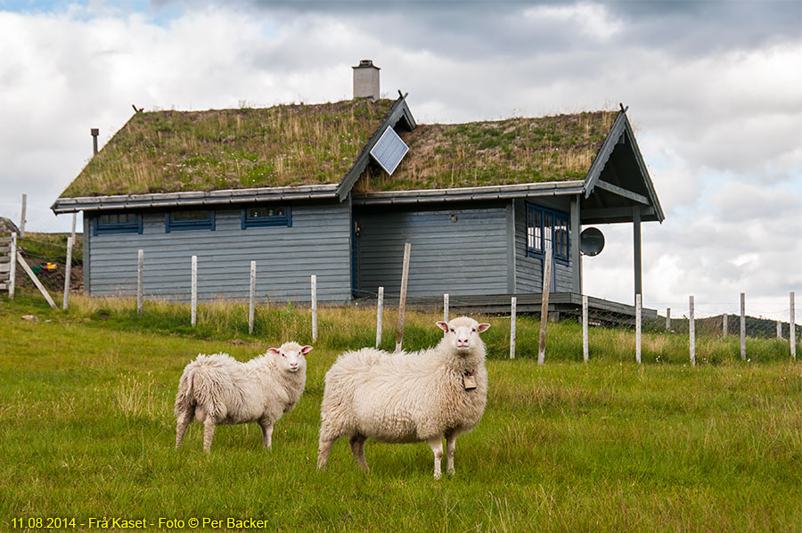 Frå Kaset