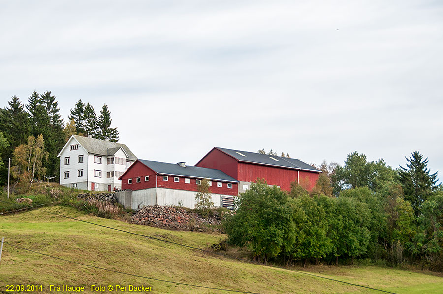 Frå Hauge