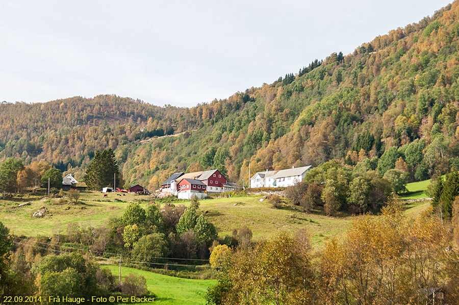 Frå Hauge