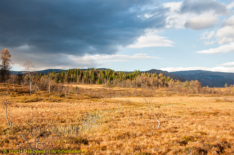 Frå Øyaset