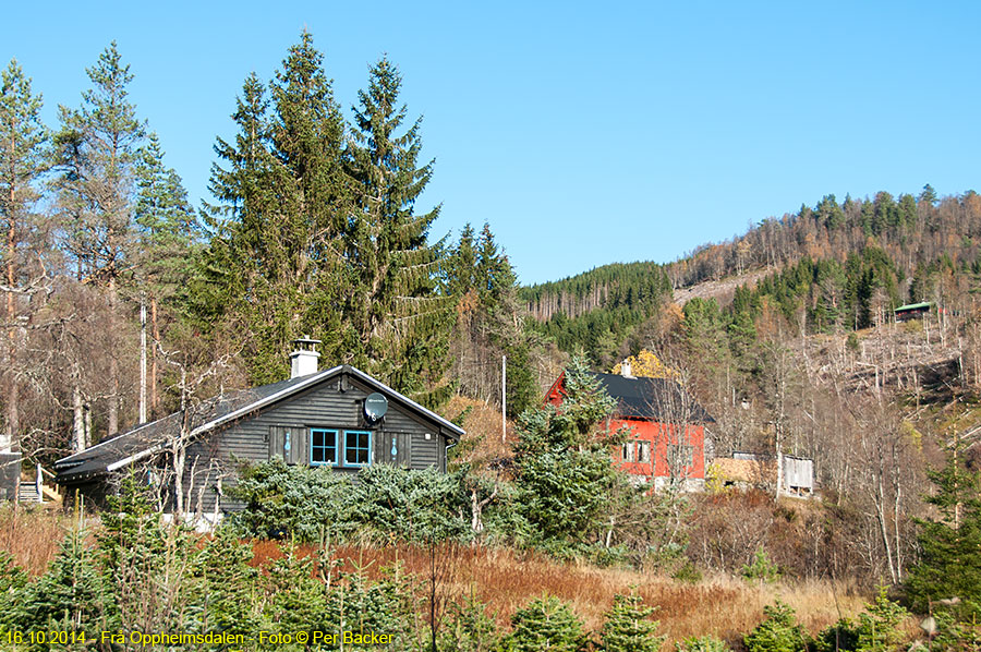 Frå Oppheimsdalen