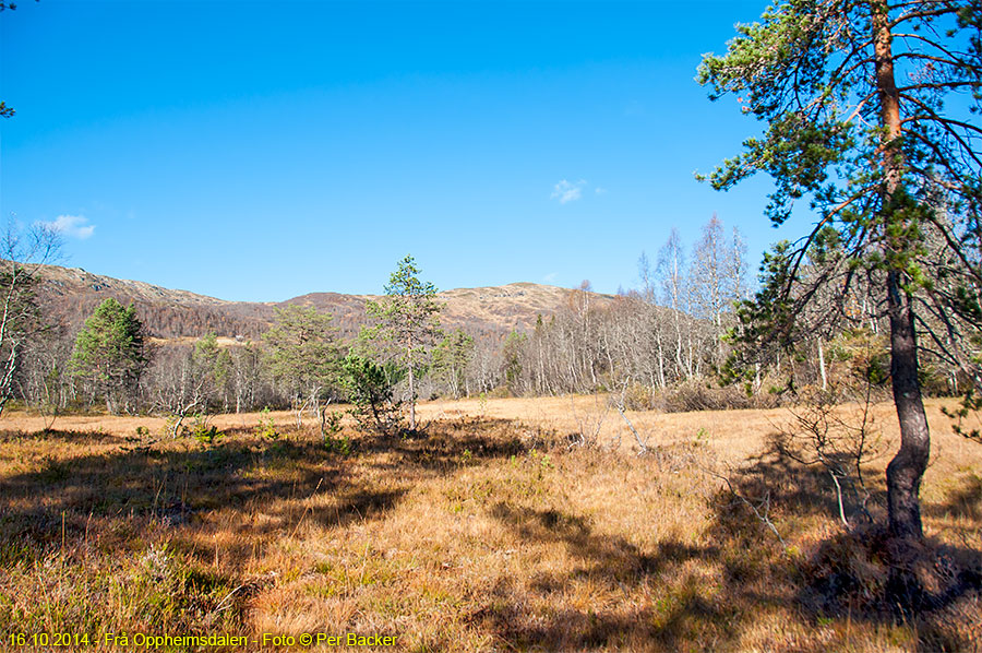 Frå Oppheimsdalen