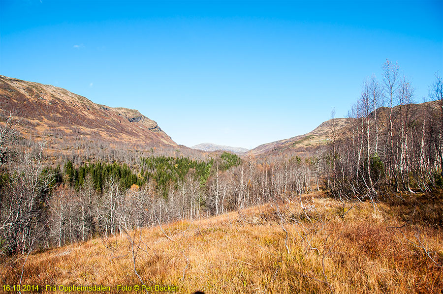 Frå Oppheimsdalen