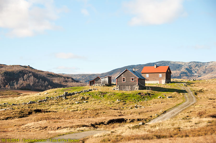 Tjødnarhovden