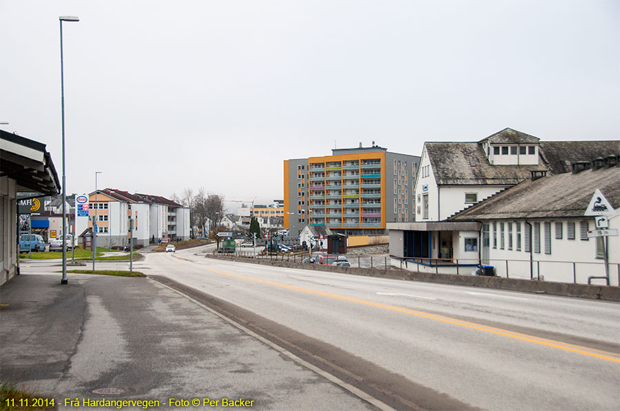 Frå Hardangervegen