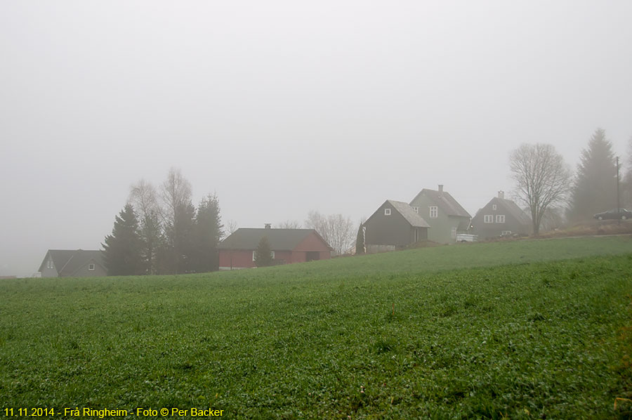 Frå Ringheim