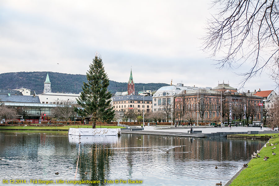 Frå Bergen, Lille Lunngegårdsvann