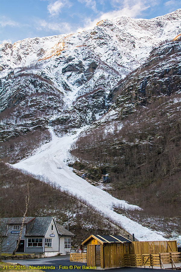 Nautaskreda i Gudvangen