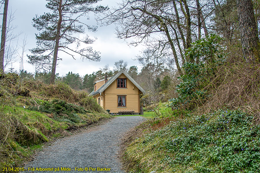 Frå Arboretet på Milde - Blondehuset