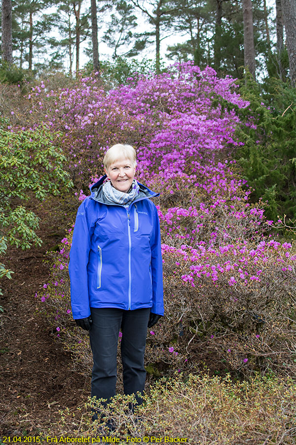 Frå Arboretet på Milde