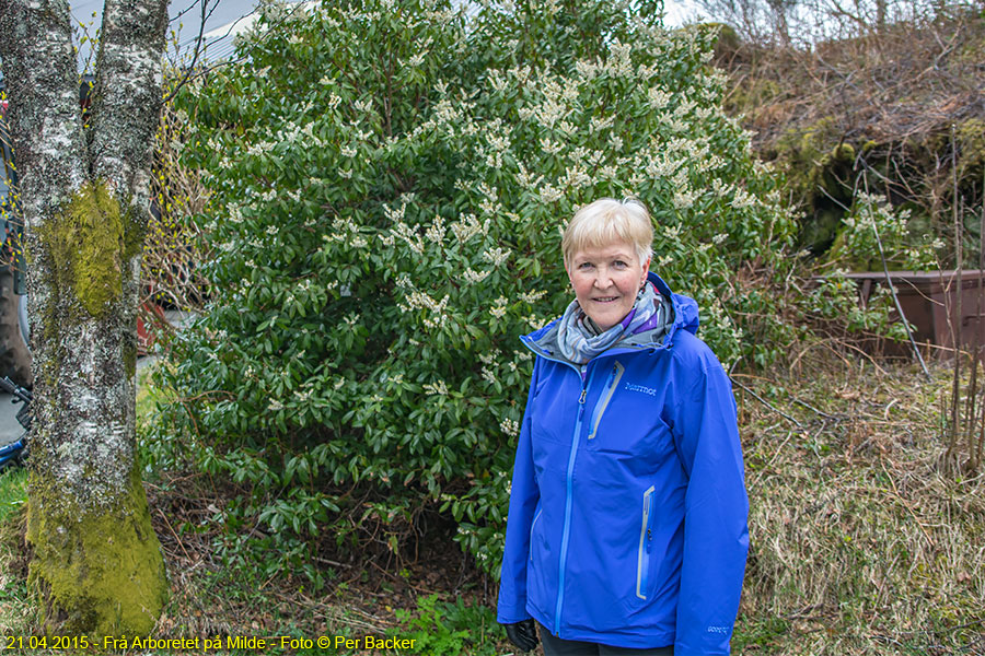 Frå Arboretet på Milde