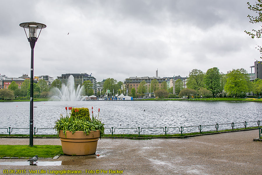 Ved Lille Lungegårdsvann