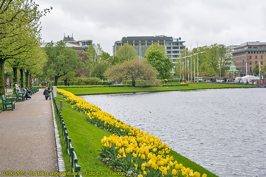 Ved Lille Lungegårdsvann