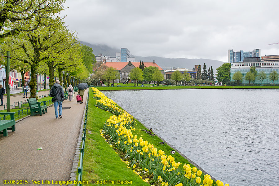 Ved Lille Lungegårdsvann