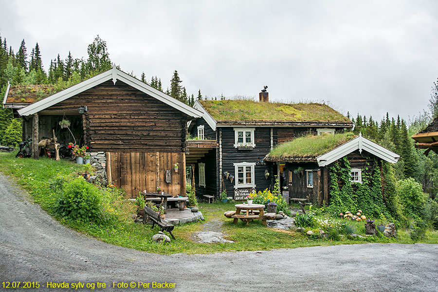 Høvda sylv og tre