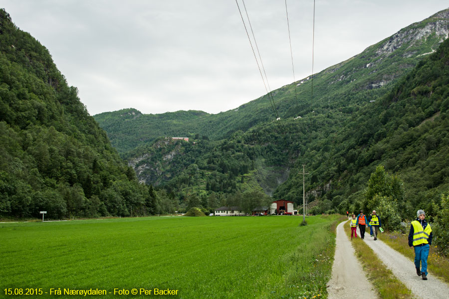 Frå Nærøydalen