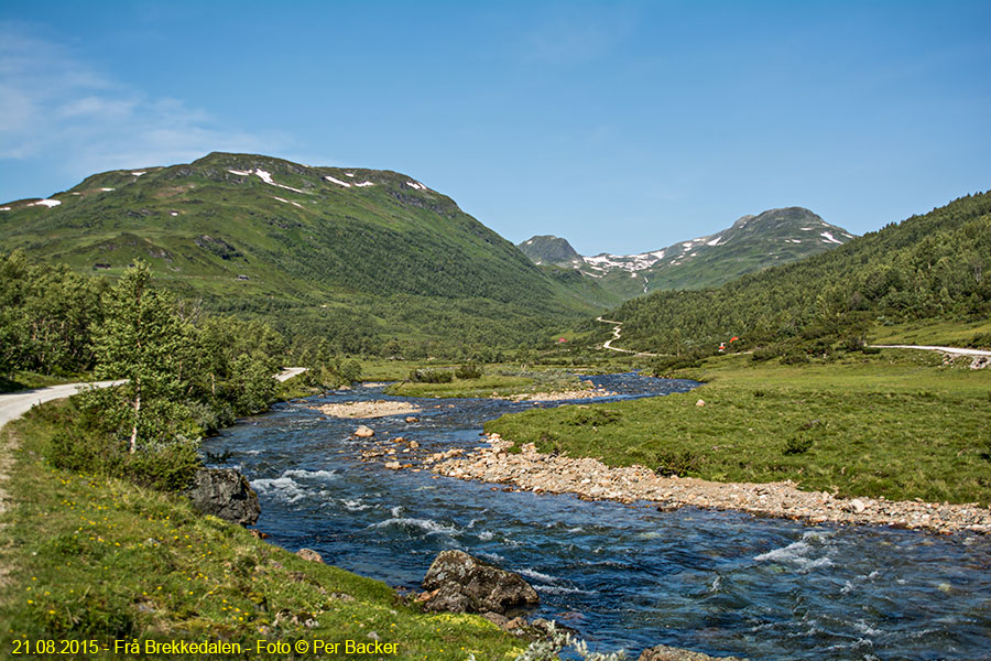 Frå Brekkedalen