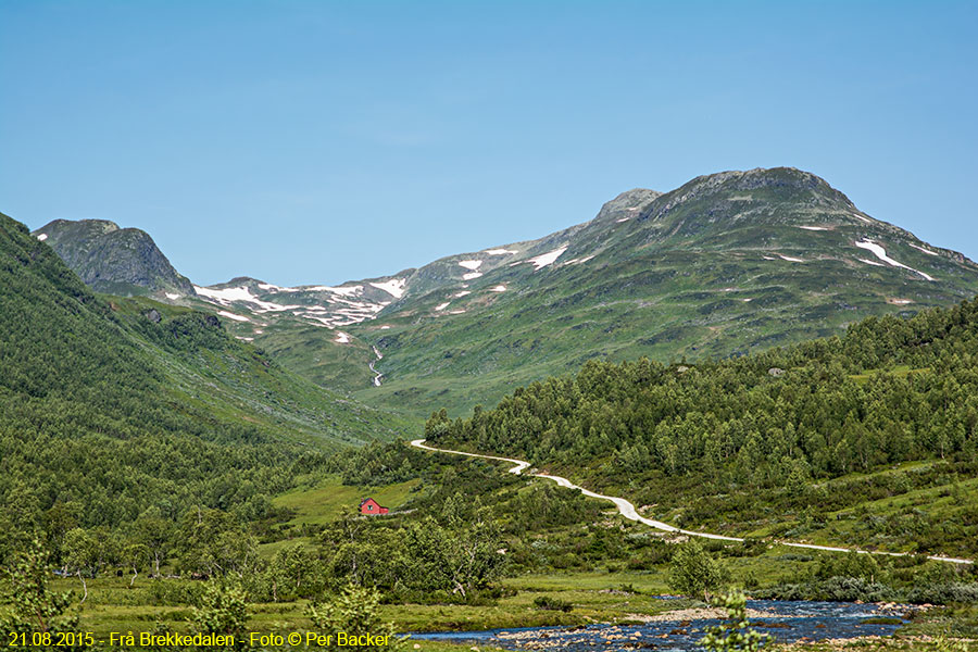 Frå Brekkedalen