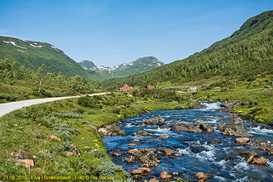 Elva i Brekkedalen