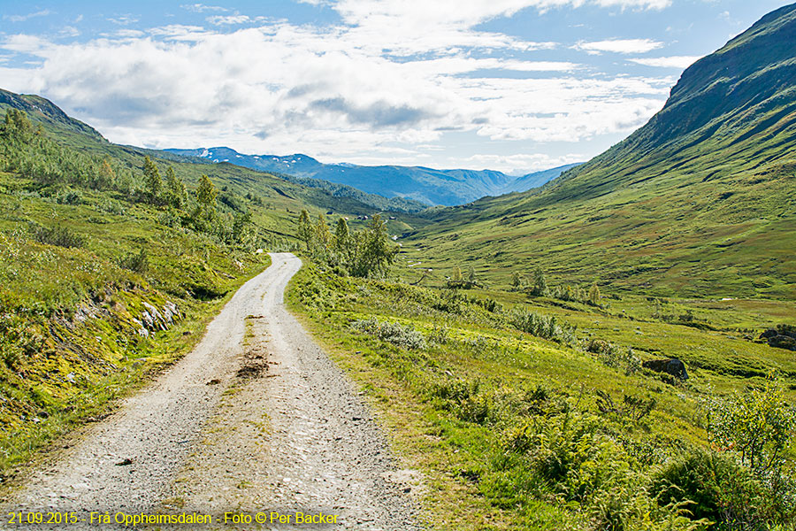 Frå Oppheimsdalen