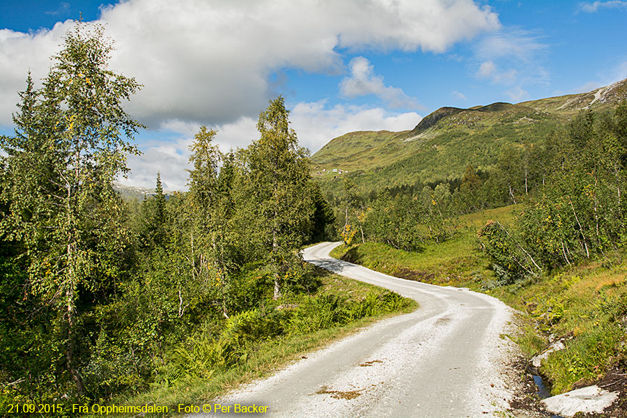 Frå Oppheimsdalen