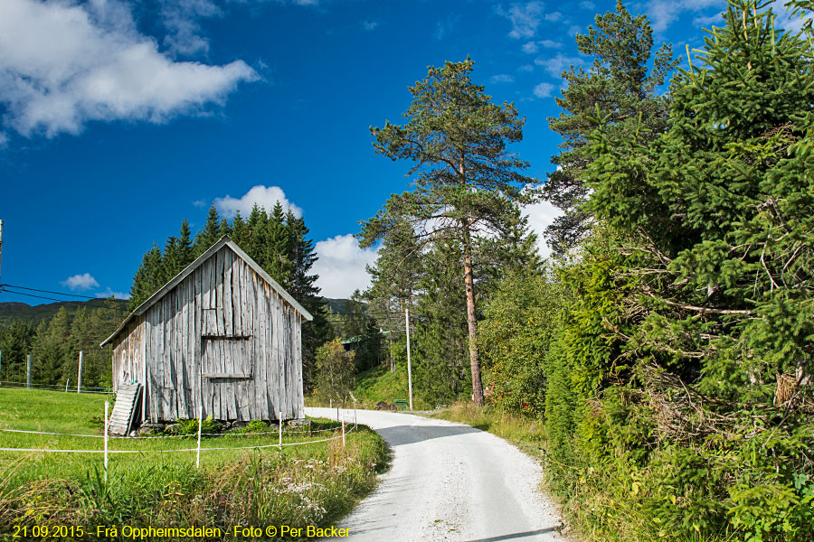 Frå Oppheimsdalen