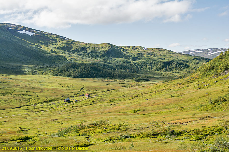 Tjødnarhovden