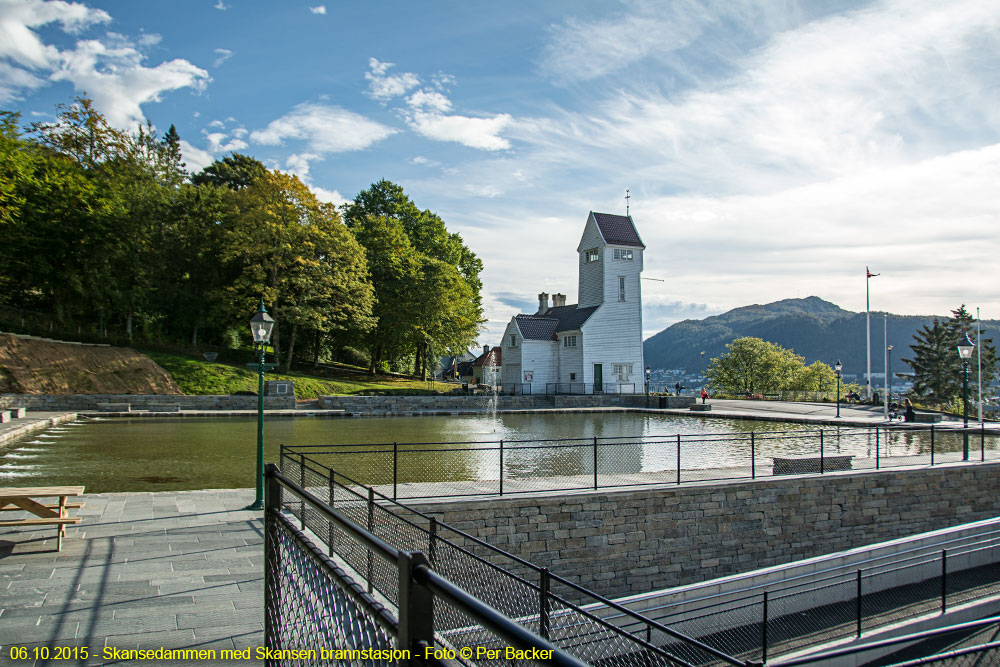 Skansedammen