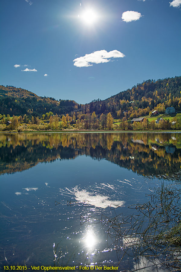 Ved Oppheimsvatnet