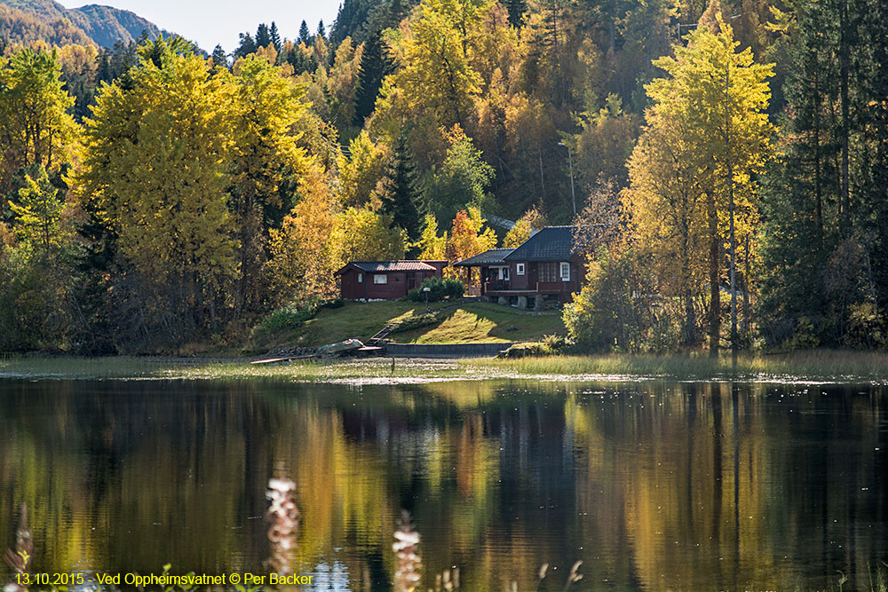 Ved Oppheimsvatnet