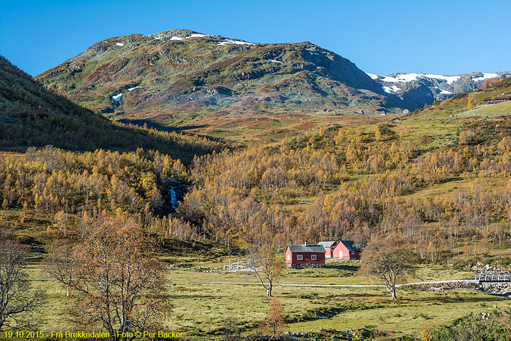 Frå Brekkedalen