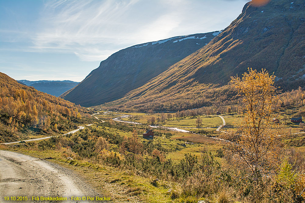 Frå Brekkedalen