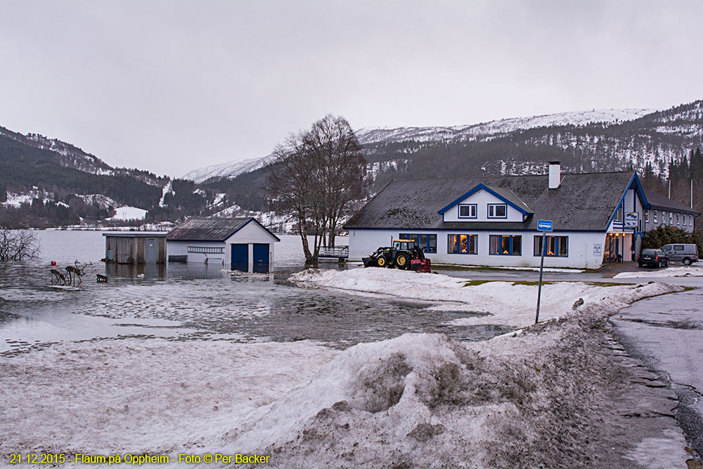 Flaum på Oppheim