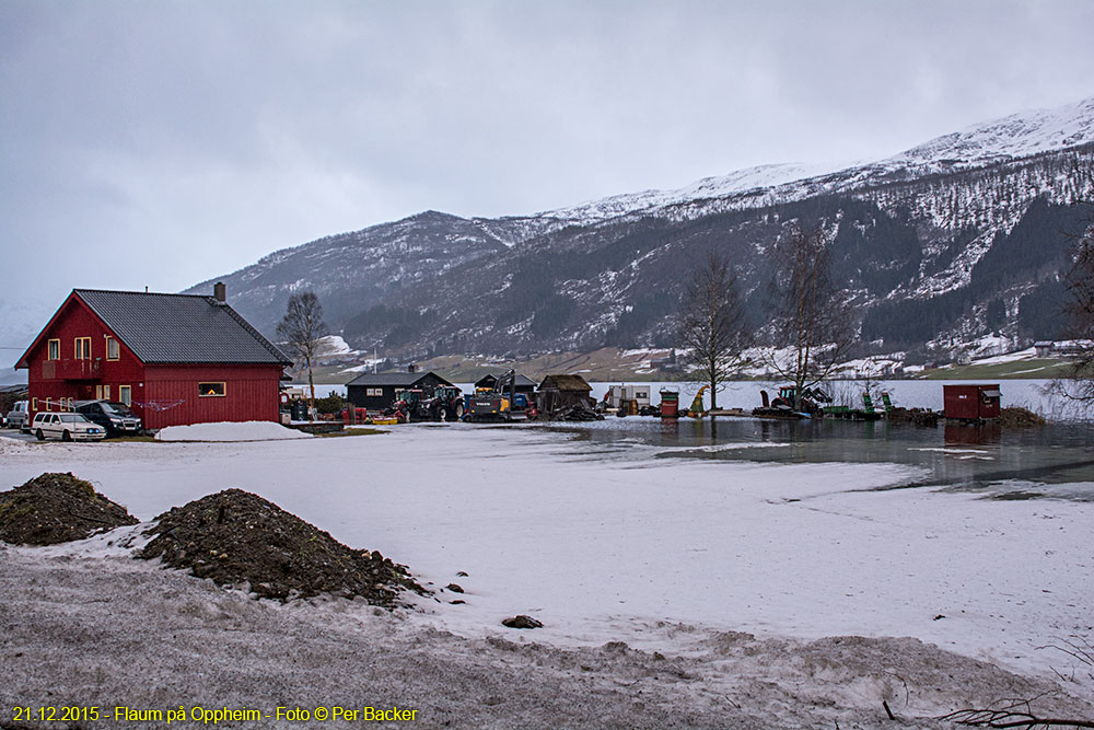 Flaum på Oppheim