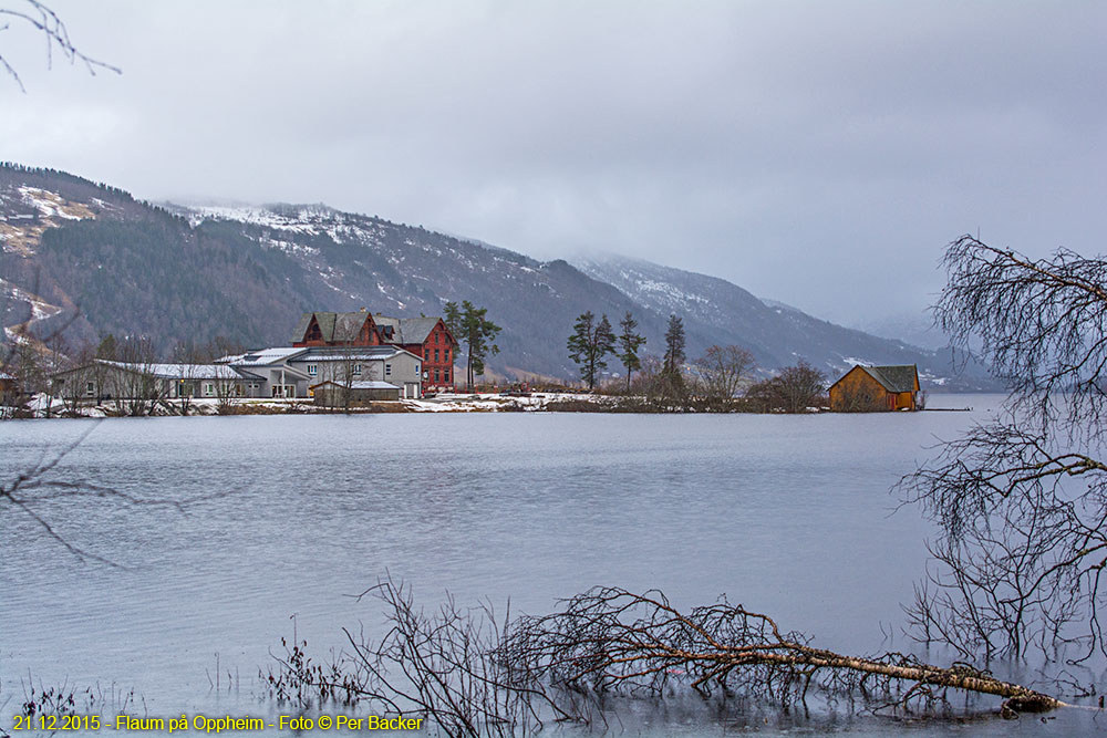 Flaum på Oppheim