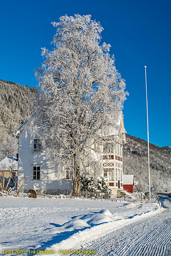 Frå Oppheim