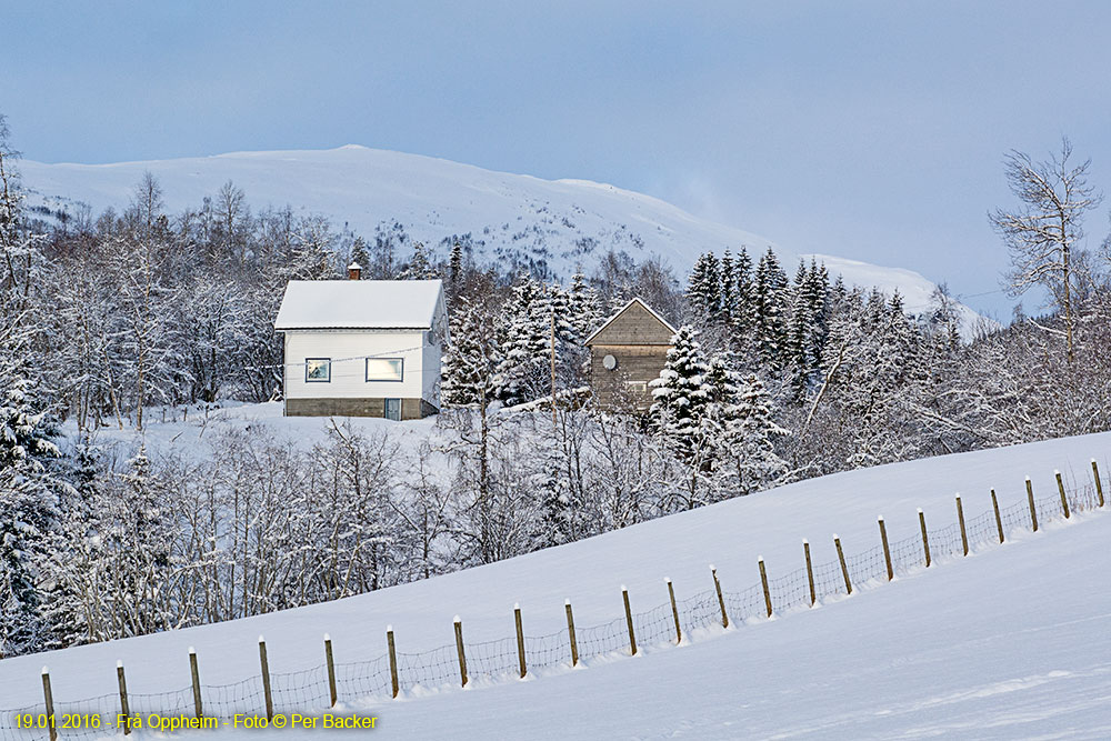 Frå Oppheim