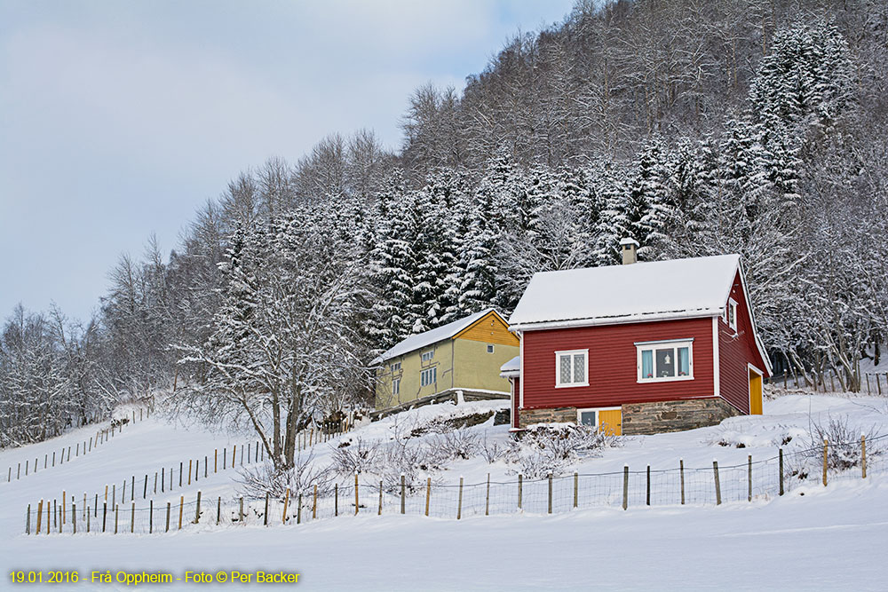 Frå Oppheim