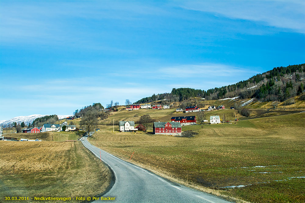 Nedkvitnesvegen