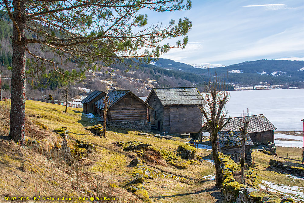 Frå Nesheimstunet